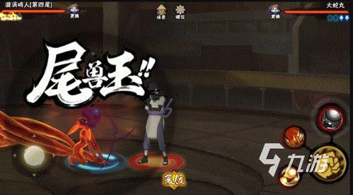 2022年5月s忍者最新爆料,揭秘忍者界最新动态与秘密